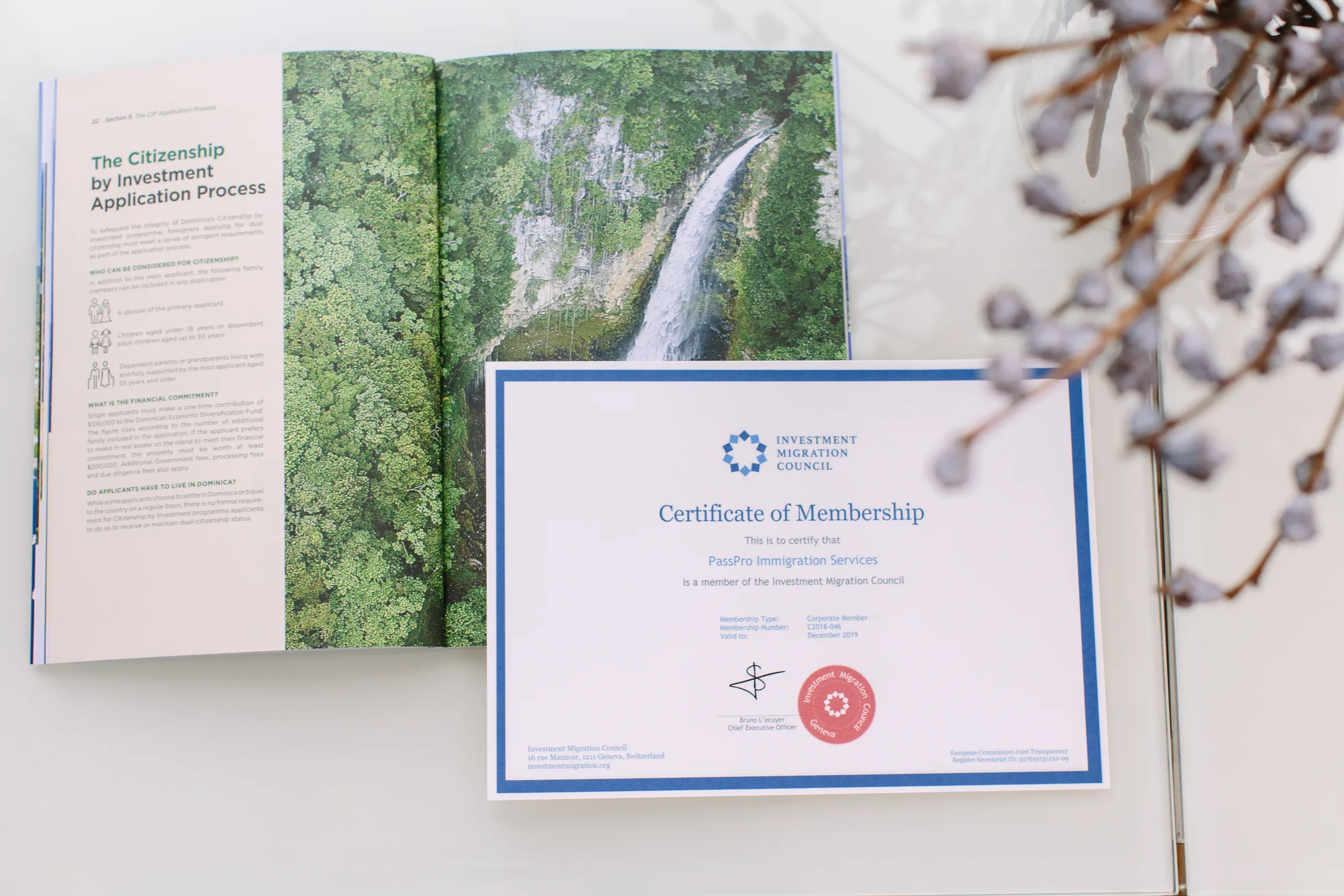 The Investment Migration Council Certificate of Membership beside an open PassPro brochure showing the Citizenship by Investment Application Process.